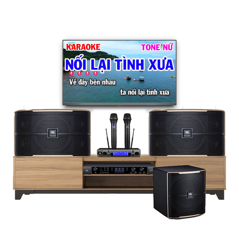 Lắp đặt dàn karaoke gia đình Gò Vấp